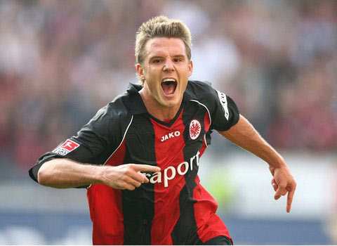 最终以自由 最终以自由